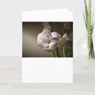 Gladioli, tarjeta