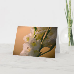 Gladioli, tarjeta