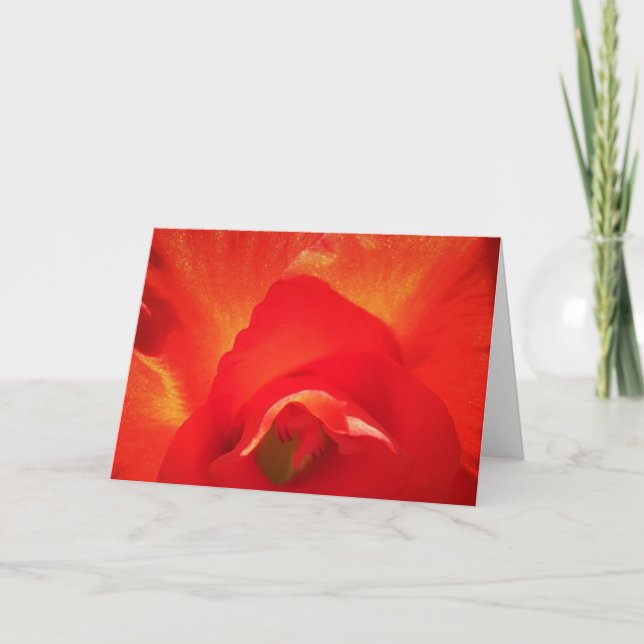 Gladioli, tarjeta (Anverso)