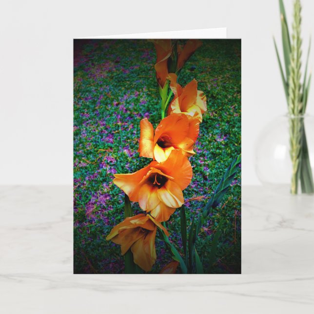 Gladioli, tarjeta (Anverso)
