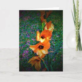 Gladioli, tarjeta