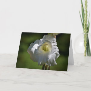 Gladioli, tarjeta