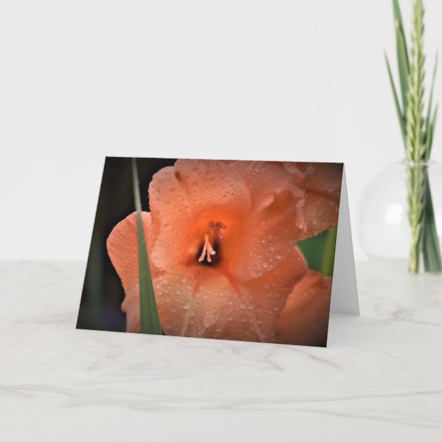 Gladioli, tarjeta (Anverso)
