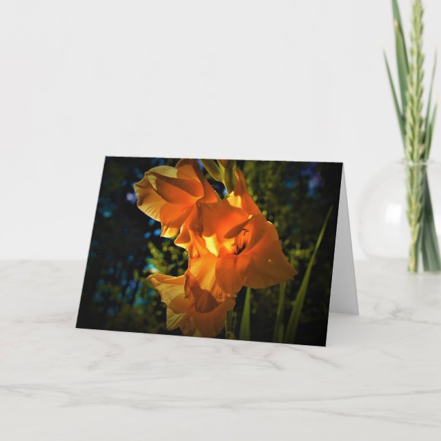 Gladioli, tarjeta (Anverso)