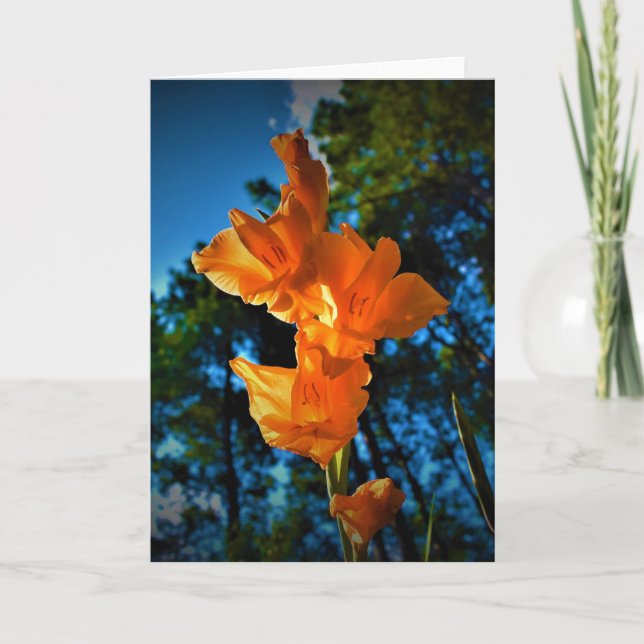 Gladioli, tarjeta (Anverso)
