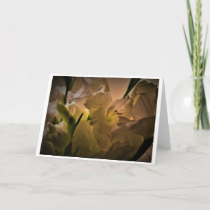Gladioli, tarjeta