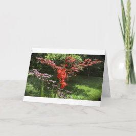 Gladioli, tarjeta