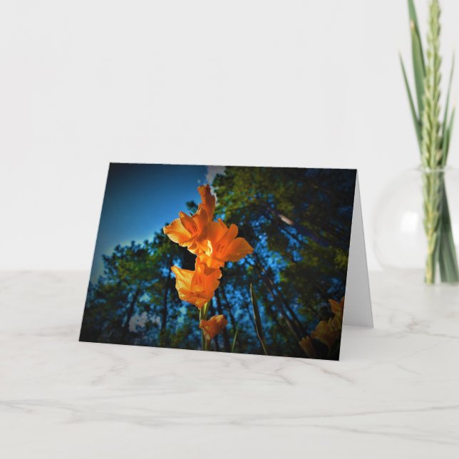 Gladioli, tarjeta (Anverso)