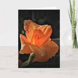 Gladioli, tarjeta