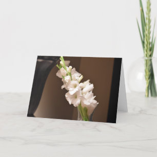 Gladioli, tarjeta