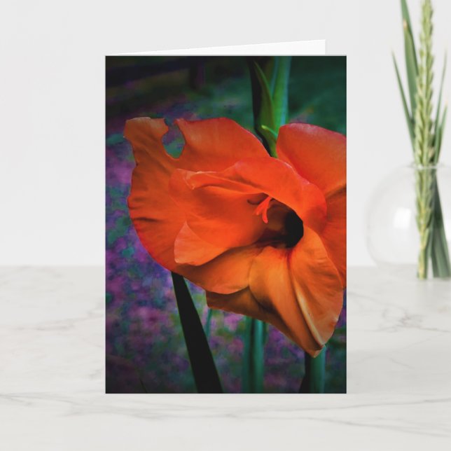 Gladioli, tarjeta (Anverso)
