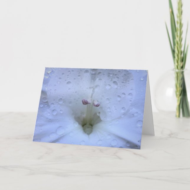 Gladioli, tarjeta (Anverso)