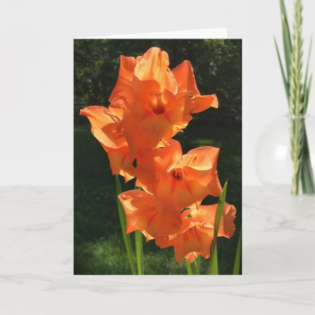 Gladioli, tarjeta (Anverso)