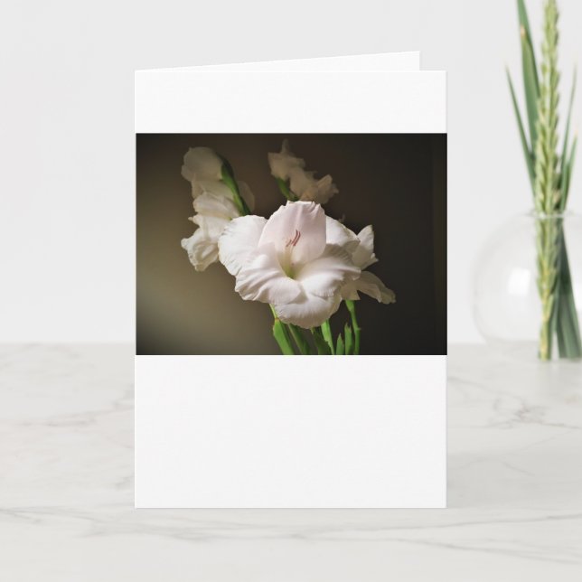Gladioli, tarjeta (Anverso)