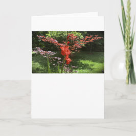 Gladioli, tarjeta