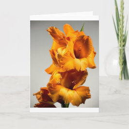 Gladiolos, Tarjeta