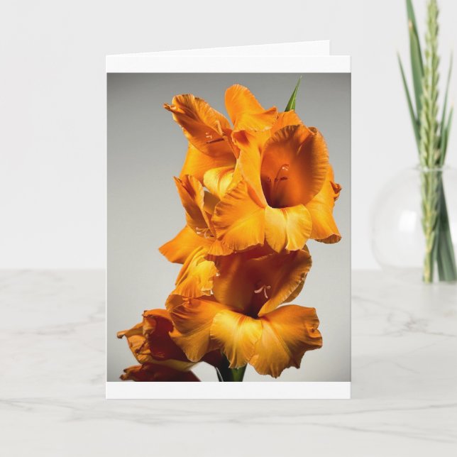 Gladiolos, Tarjeta (Anverso)