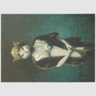 Glamoroso papel de la dama del gato