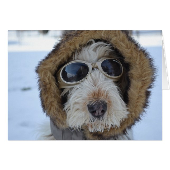 Glamour de invierno (Anverso (Horizontal))