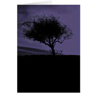 Glastonbury Hawthorn. Árbol en la colina. Negro mo