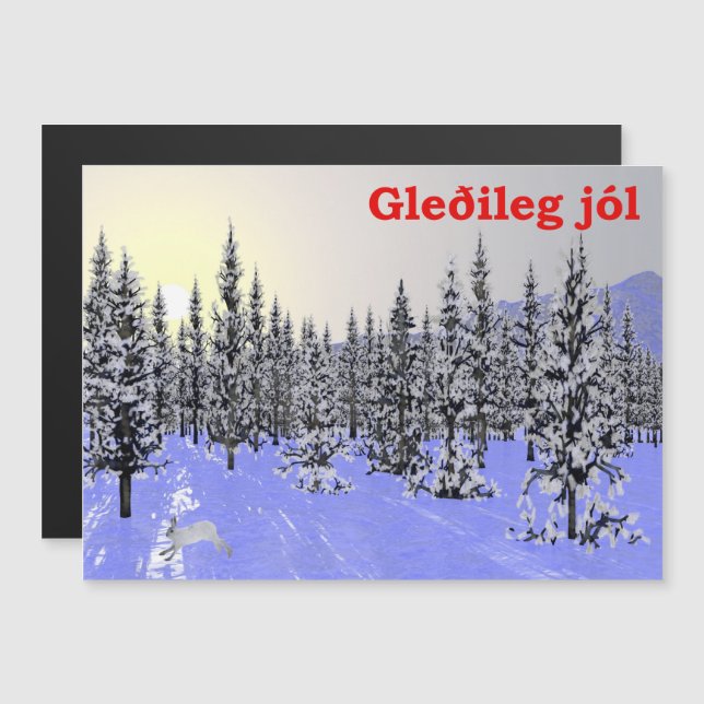 Gleðileg Jól - Solsticio de invierno (Anverso/Reverso)