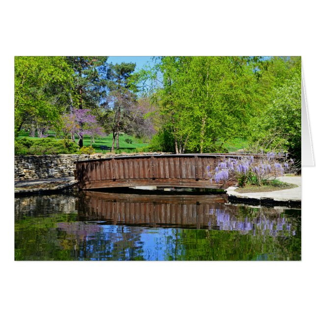 Glicinias en la floración en el parque flojo, (Anverso (Horizontal))