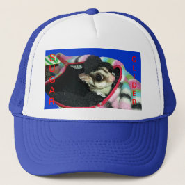 Glider azucarero usando un Gorra