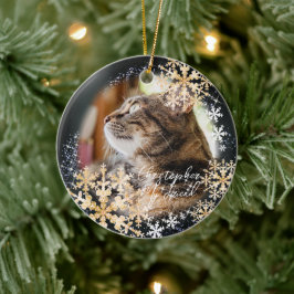 Glittering Snow Flakes Foto de Ornamento Negro