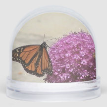 Globe de nieve de mariposa