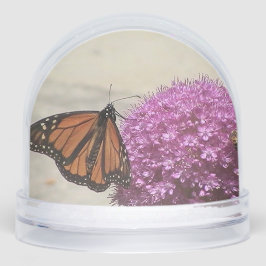 Globe de nieve de mariposa