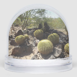 Globe de nieve del desierto de Sonoran
