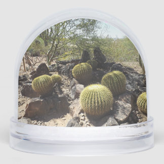 Globe de nieve del desierto de Sonoran
