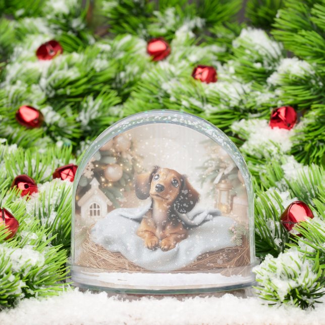 Globe de nieve personalizado de cachorro de Dachsh (Navidad)