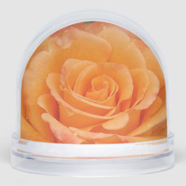 Globe de nieve Rosa naranja