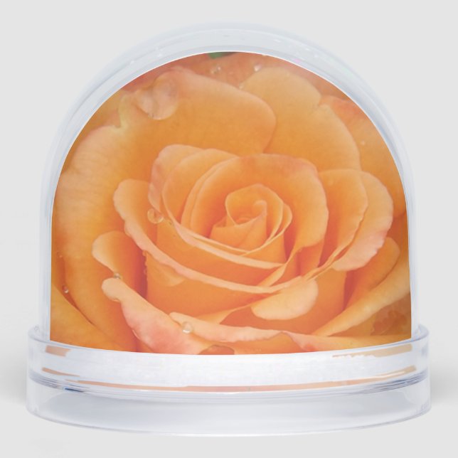 Globe de nieve Rosa naranja (Anverso)