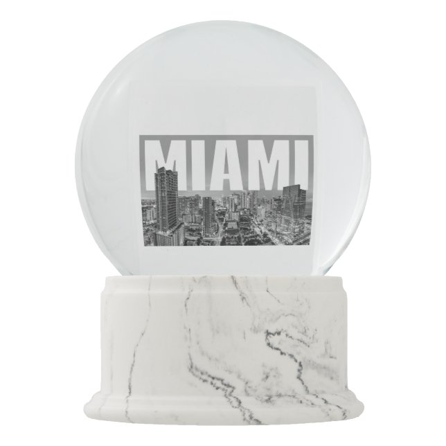 Globo de la nieve de Miami (Anverso)