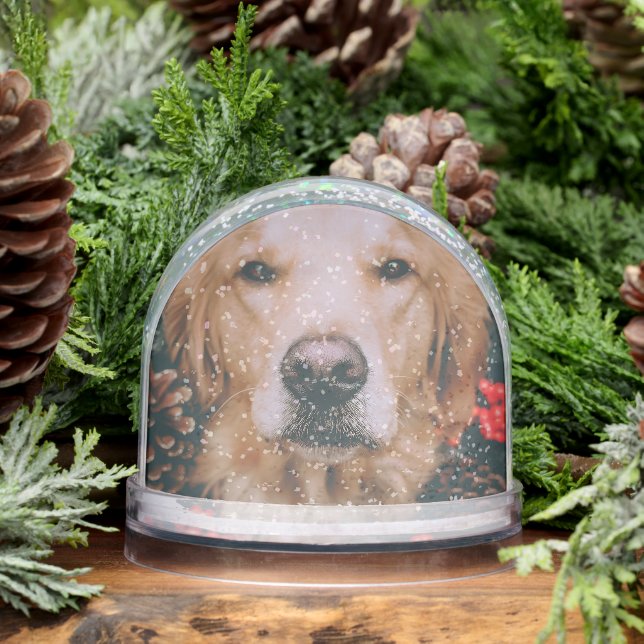 Globo de Nieve de Golden Retriever Globe (Invierno)