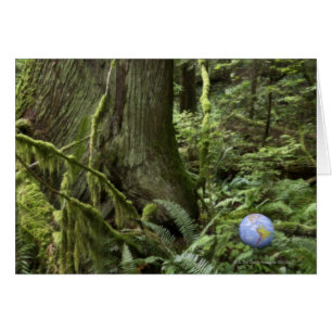 Globo en el bosque