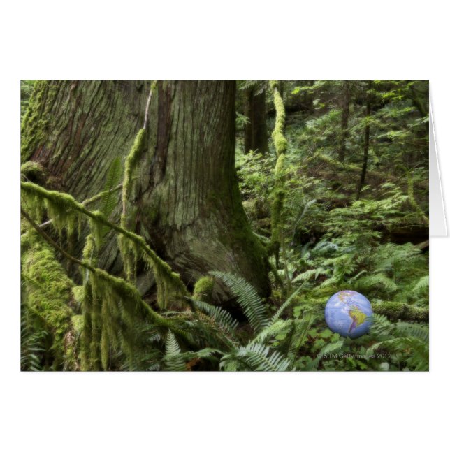 Globo en el bosque (Anverso (Horizontal))
