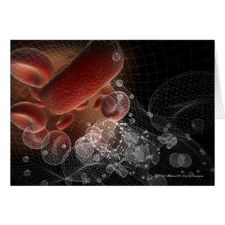 Glóbulos rojos en wireframe