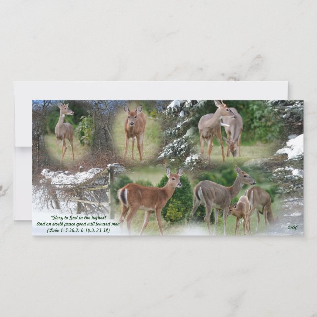 Gloria a Dios... (Anverso)