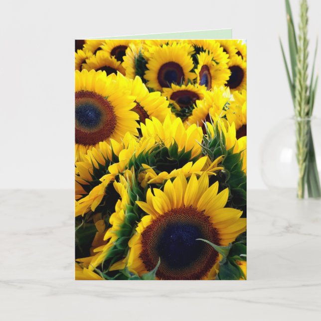 Gloria de girasol 1 tarjeta (Anverso)