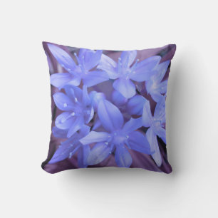 Gloria de la almohada azul de nieve