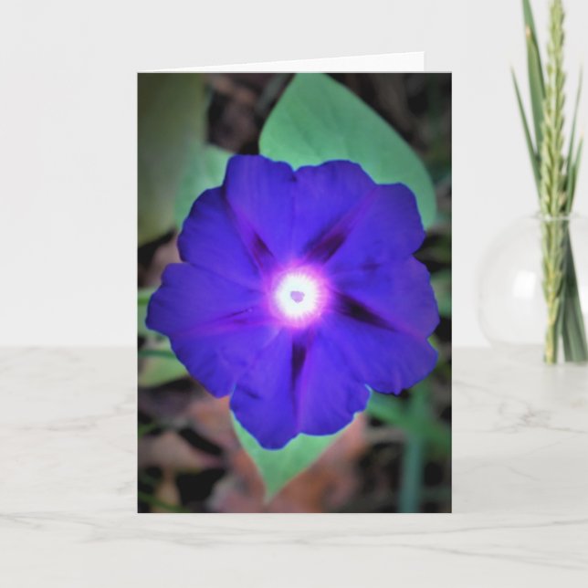 Gloria de la mañana, tarjeta (Anverso)