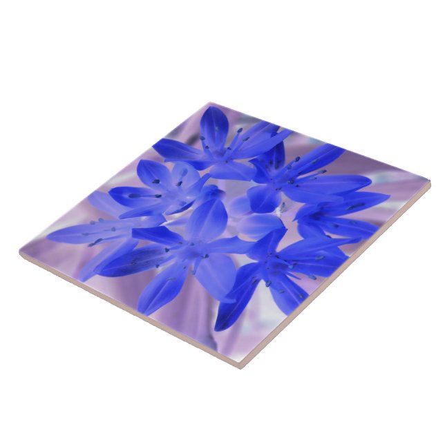 Gloria de la Nieve impactante Azulejos Azules (Lado)