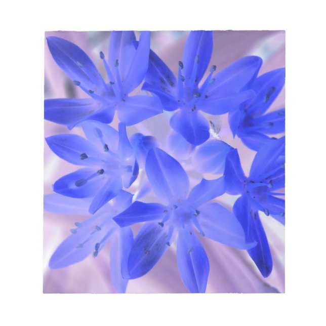 Gloria de la nieve impactante Bloc de notas azul (Frente)