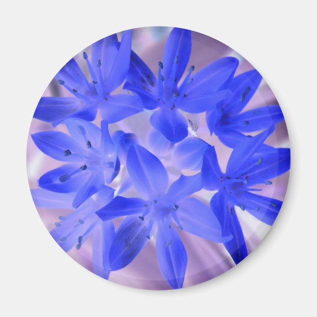 Gloria De La Nieve Impactante Imán Azul (Frente)