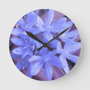 Gloria del reloj de pared azul de nieve