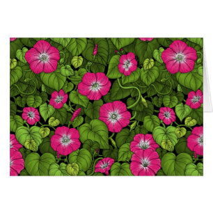 Gloria matutina en rosa y verde