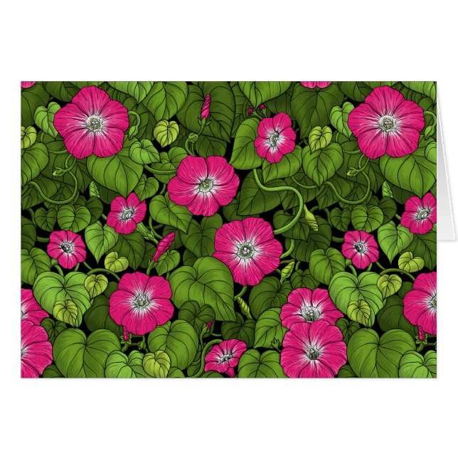 Gloria matutina en rosa y verde (Anverso (Horizontal))